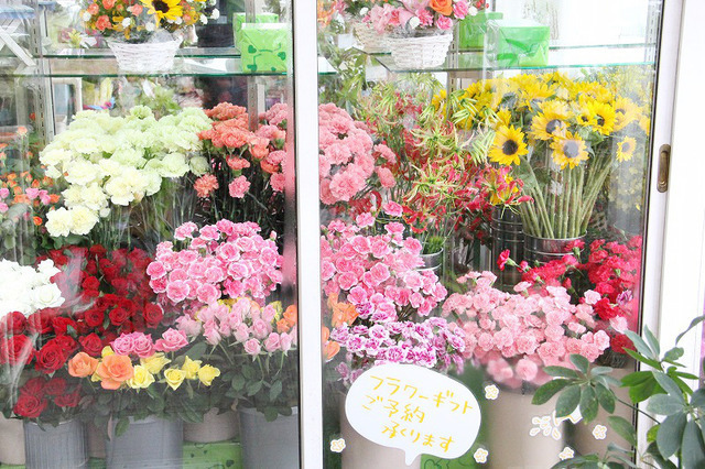ご挨拶 宮崎県小林市の花屋フラワーショップコスモス ご挨拶 宮崎県小林市の花屋フラワーショップコスモス