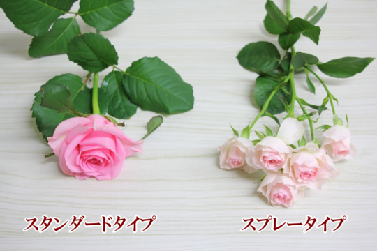 バラの花束 花ギフト 宅配花屋フラワーショップコスモス 花ギフト通販 宅配のフラワーショップコスモス