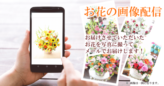 花の画像配信サービス 花ギフト通販 宅配のフラワーショップコスモス 花の画像配信サービス 花ギフト通販 宅配のフラワーショップコスモス