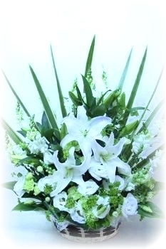 お客様の声7 花ギフト通販 宅配のフラワーショップコスモス お客様の声7 花ギフト通販 宅配のフラワーショップコスモス