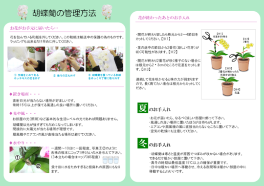 ビジネスに贈る花 胡蝶蘭 花ギフト通販 宅配のフラワーショップコスモス ビジネスに贈る花 胡蝶蘭 花ギフト通販 宅配のフラワーショップコスモス