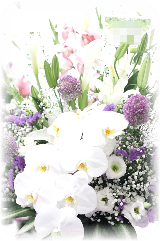お客様の声2 花ギフト通販 宅配のフラワーショップコスモス お客様の声2 花ギフト通販 宅配のフラワーショップコスモス