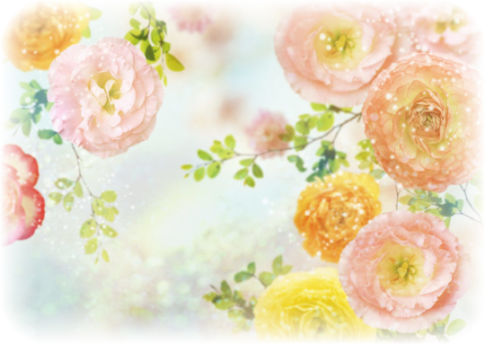 お客様の声7 花ギフト通販 宅配のフラワーショップコスモス