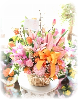 宮崎の花屋 花ギフト通販のフラワーショップコスモス