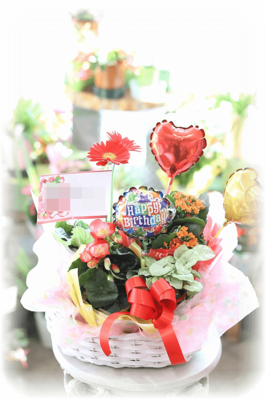 お客様の声2 花ギフト通販 宅配のフラワーショップコスモス