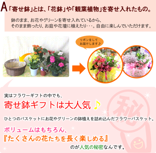 寄せ鉢ギフト 花ギフト通販のフラワーショップコスモス