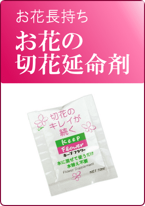 お花の正しい扱い方 花ギフト通販 宅配のフラワーショップコスモス